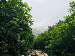 -大连天门山国家森林公园