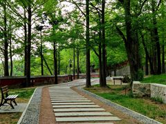 -阳台山自然风景区