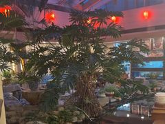 -顺峰·粤菜海鲜·早茶自助(阜成店)