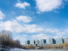 -大兴滨河森林公园