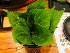-四斤烤肉(东戴河孟家店)