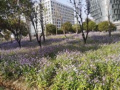 -上海山野camping·户外天幕烧烤·团建拓展营地