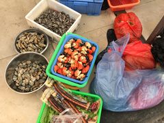 -霞海鸭仔饭店(海滨大道北店)