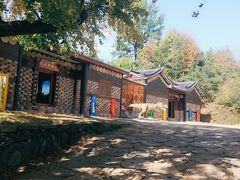 -千年银杏谷文化旅游区