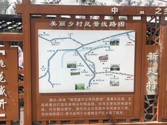 -新建村梅花