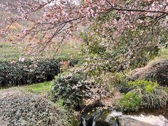 -野蔓果·山野菜(西湖景区·龙井茶田店)