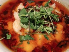 沸腾鱼片-耿福兴(步行街店)