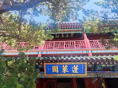 -蓬莱阁景区
