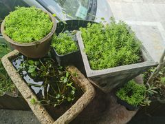 -礼耕堂·百年茶人餐厅(梅家坞店)