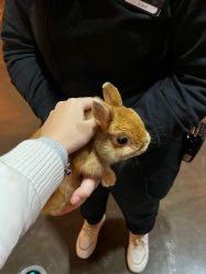 -Zoolung Zoolung动物主题公园(海信广场店)
