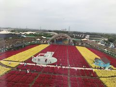 -广州花之恋城堡酒店