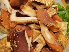-易门野生菌府·菌海森林(月牙潭公园店)