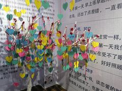 -福州奇幻解压馆(东泰禾旗舰店)