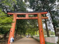 -奈良公园