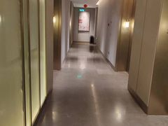-同庆楼(天鹅酒家店)