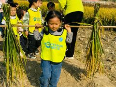 -瑞恩宝感统训练·语言提升·蒙氏托育中心