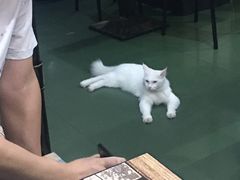 -南雄雄州土菜餐厅(粤北大厦店)