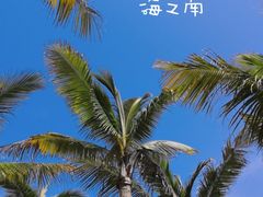 -三亚西岛海洋文化旅游区