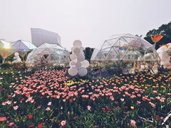 -龙环葡韵住宅式博物馆