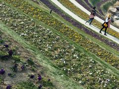 -南通洲际绿博园