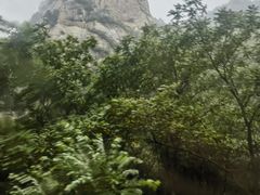 -雾灵西峰