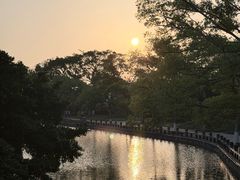 -江心屿景区