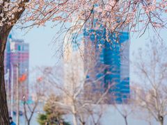 -泰丰公园
