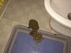 -芭比堂动物医院·犬猫全科·异宠专科(雁塔分院)