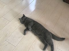 -Rabbit Cafe私房西餐甜点咖啡(栖霞路店)