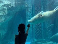 -波塞冬旅游度假区