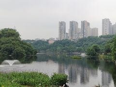 -重庆彩云湖湿地公园