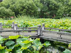 -丝绸小镇荻港古村