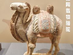-浙江省博物馆(孤山馆区)