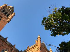 -上海佘山国家森林公园西佘山园