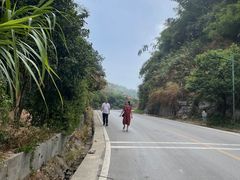 -长沙黑麋峰国家森林公园