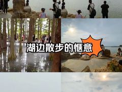 -东湖落雁景区