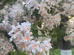 -山东宾馆·齐鲁苑餐厅