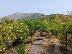 -北京十三陵国家森林公园蟒山景区