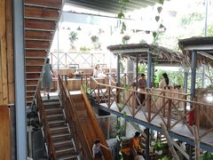 -Rainforest