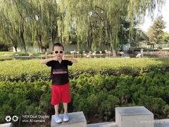 -石家庄市动物园