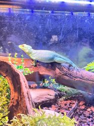 -Zoolung Zoolung动物主题公园(海信广场店)