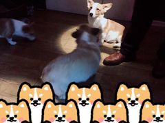 -M-3 PUB(创智天地店)