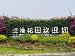 -空港花田景区
