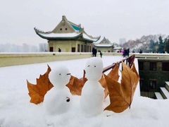 -武汉大学-樱园