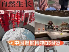-中国湿地博物馆