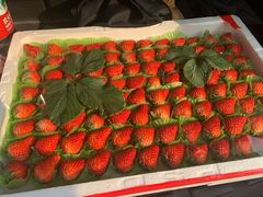 -红星农博物流中心