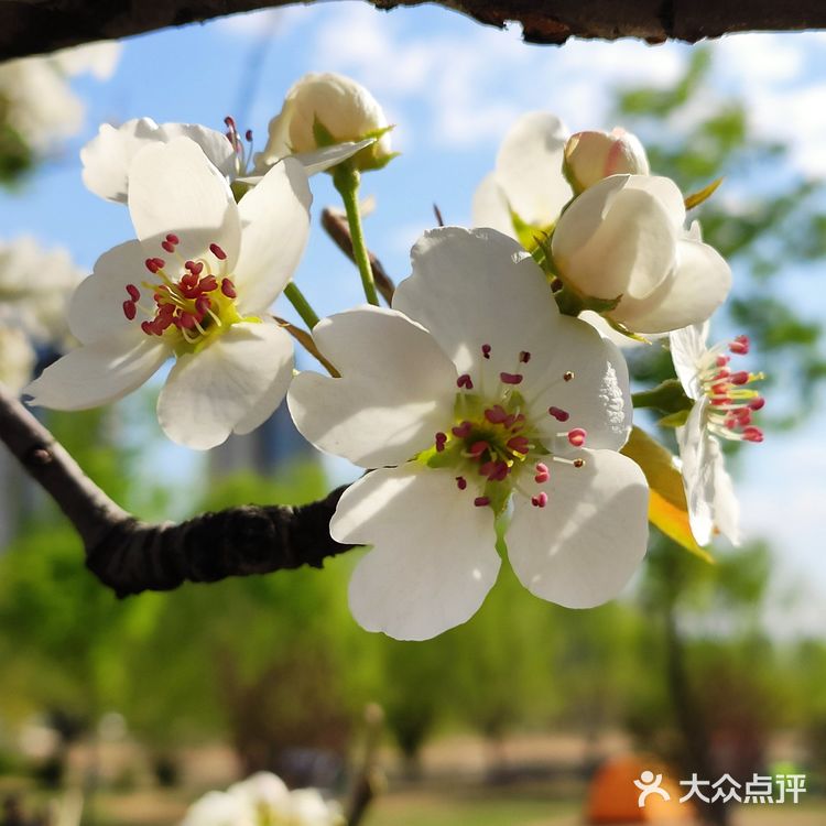 沈水湾公园