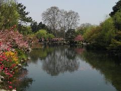 -西湖游船