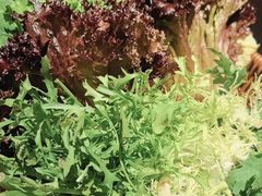 -晓宇重庆火锅(西安荟聚店)