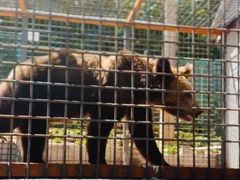 -水上乐园·欢乐世界